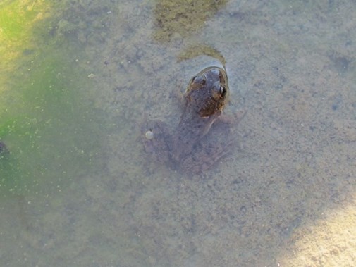 /ARSUserFiles/60600510/Roundaway Lake/Picture10.jpg